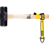 Tool Cinch Attachment Point Helyx Safety & Industrial Supplies