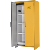 Armoire d'entreposage 90 minutes s&eacute;curitaire et conforme &agrave; la norme EN, 30 gal., 2 Porte(s), 35,16" La x 76,89" h x 24,21" p Helyx Safety & Industrial Supplies