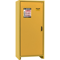 Armoire d'entreposage 30 minutes s&eacute;curitaire et conforme &agrave; la norme EN, 30 gal., 1 Porte(s), 34,02" La x 76,65" h x 24,21" p Helyx Safety & Industrial Supplies