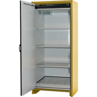 Armoire d'entreposage 30 minutes s&eacute;curitaire et conforme &agrave; la norme EN, 30 gal., 1 Porte(s), 34,02" La x 76,65" h x 24,21" p Helyx Safety & Industrial Supplies