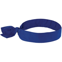Chill-its&reg; 6700 Cooling Bandanas, Blue Helyx Safety & Industrial Supplies