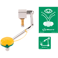 Poste de douche oculaire/faciale, Installation Montage sur &eacute;vier Helyx Safety & Industrial Supplies
