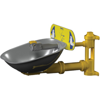 Poste de douche oculaire Halo, Installation Montage mural, Bol Acier inoxydable Helyx Safety & Industrial Supplies