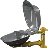 Poste de douche oculaire Halo, Installation Montage mural, Bol Acier inoxydable Helyx Safety & Industrial Supplies