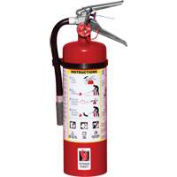 Extincteur d'incendie, ABC, Capacit&eacute; 5 lb Helyx Safety & Industrial Supplies