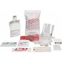 Trousses de nettoyage de d&eacute;versements liquides, Mati&egrave;res dangereuses, Sac, Absorbance de Aucune Helyx Safety & Industrial Supplies