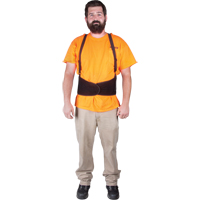 Support lombaire, &eacute;lastique, Petit Helyx Safety & Industrial Supplies