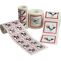 GHS Pictogram Labels, Vinyl, Roll, 4" L x 4" W Helyx Safety & Industrial Supplies