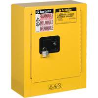 Mini-armoires de s&eacute;curit&eacute; Sure-Grip EX pour produits inflammables, 2 gal., 1 Porte(s), 17" La x 22" h x 8" p Helyx Safety & Industrial Supplies