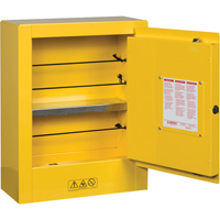 Mini-armoires de s&eacute;curit&eacute; Sure-Grip EX pour produits inflammables, 2 gal., 1 Porte(s), 17" La x 22" h x 8" p Helyx Safety & Industrial Supplies