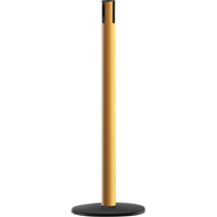 Syst&egrave;me Advance TensaBarrier - Poteau r&eacute;cepteur, Hauteur de 36", Jaune Helyx Safety & Industrial Supplies