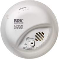 Carbon Monoxide Alarm Helyx Safety & Industrial Supplies
