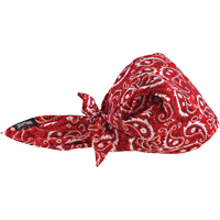 Chill-Its&reg; 6710CT Cooling Triangle Hats, Red Helyx Safety & Industrial Supplies