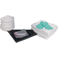 Trousse de rechange pour atelier, 30 gallons, Huile seulement Helyx Safety & Industrial Supplies