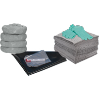 Trousse de rechange pour atelier, 30 gallons, Universel Helyx Safety & Industrial Supplies