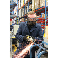 Z2300 Series Safety Shield Goggles, Clear Lens, Anti-Fog, Indirect Vent Helyx Safety & Industrial Supplies