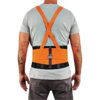 ProFlex 100HV Economy Spandex Hi-Vis Back Support Brace, Elastic, X-Small Helyx Safety & Industrial Supplies