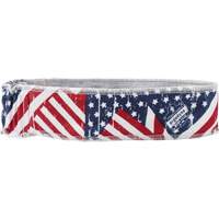 Bandana rafraîchissant Chill-Its 6605, Multicolore Helyx Safety & Industrial Supplies