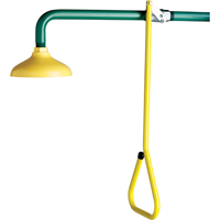 Douche d'urgence suspendue Lifesaver, Montage mural Helyx Safety & Industrial Supplies