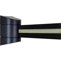 Unit&eacute;s murales Tensabarrier, Plastique, Fixation par vis, 15', Ruban Noir Helyx Safety & Industrial Supplies