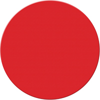 Armor Stripe Lean/5S Markers, Circle, 6" L x 6" W, Red, Plastic Helyx Safety & Industrial Supplies