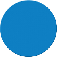 Armor Stripe Lean/5S Markers, Circle, 6" L x 6" W, Blue, Plastic Helyx Safety & Industrial Supplies