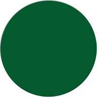 Armor Stripe Lean/5S Markers, Circle, 6" L x 6" W, Green, Plastic Helyx Safety & Industrial Supplies
