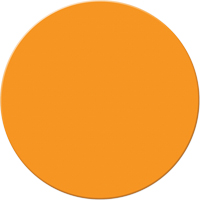Armor Stripe Lean/5S Markers, Circle, 6" L x 6" W, Orange, Plastic Helyx Safety & Industrial Supplies