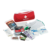 Dynamic Car First Aid Kit, Class 1 Medical Device, Nylon Bag Helyx Safety & Industrial Supplies
