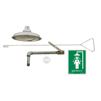 Douche de rinçage, Montage au plafond Helyx Safety & Industrial Supplies