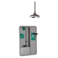 Douche et douche oculaire/faciale, Montage au plafond Helyx Safety & Industrial Supplies