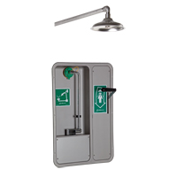 Douche et douche oculaire/faciale ADA, Montage au plafond Helyx Safety & Industrial Supplies