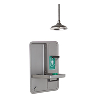 Douche et douche oculaire/faciale, Montage au plafond Helyx Safety & Industrial Supplies