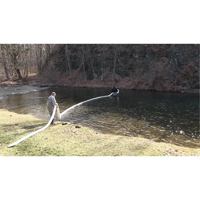 SpillBoa Bale, Oil Only, 25' L x 5" W, 28 gal. Absorbancy, 4 /Pack Helyx Safety & Industrial Supplies