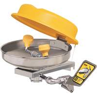 Eyewash Station, Wall-Mount Installation, Stainless Steel Bowl Helyx Safety & Industrial Supplies