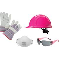 Ladies' Worker PPE Starter Kit Helyx Safety & Industrial Supplies