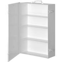 Medicine Cabinet Helyx Safety & Industrial Supplies