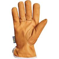 Gants de conducteur Endura, Petit, Paume en Cuir fleur de ch&egrave;vre, Thinsulate Helyx Safety & Industrial Supplies