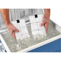 Sachets pour veste de refroidissement &agrave; changement de phase 6260 Chill-Its Helyx Safety & Industrial Supplies
