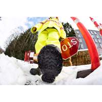 Aide &agrave; la traction robuste, Carbure de tungst&egrave;ne, Traction Crampon, Petit Helyx Safety & Industrial Supplies