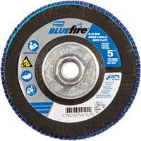 Disque &agrave; lamelles BlueFire, 5" x 5/8"-11, Type 29, Grain 80, Alumine de zirconium Helyx Safety & Industrial Supplies
