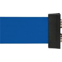 Wall Mount Barrier with Magnetic Tape, Steel, Screw Mount, 7', Blue Tape Helyx Safety & Industrial Supplies