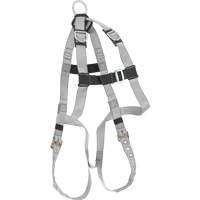 Harnais &eacute;conomique de conformit&eacute; B Dynamic, Certifi&eacute;e CSA, Classe AE, Cap. 310 lb Helyx Safety & Industrial Supplies