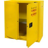 Flammable Storage Cabinet, 30 gal., 2 Door, 43" W x 44" H x 18" D Helyx Safety & Industrial Supplies