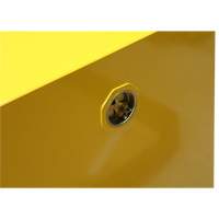 Armoire pour produits inflammables, 12 gal., 2 Porte(s), 43" La x 18" h x 18" p Helyx Safety & Industrial Supplies