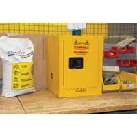 Armoire pour produits inflammables, 4 gal., 1 Porte(s), 17" La x 22" h x 18" p Helyx Safety & Industrial Supplies