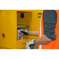 Armoire pour produits inflammables, 4 gal., 1 Porte(s), 17" La x 22" h x 18" p Helyx Safety & Industrial Supplies