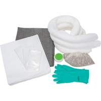 Trousse d'&eacute;quipement de lutte contre les d&eacute;versements, Huile seulement/Universel, Sac, Absorbance de 10 gal. US Helyx Safety & Industrial Supplies