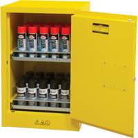 Armoire de rangement pour a&eacute;rosols inflammables, 12 gal., 1 Porte(s), 23" La x 35" h x 18" p Helyx Safety & Industrial Supplies