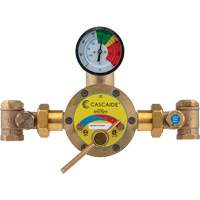 Mixing Valve for Exposed Assembly of Drench or Combination Emergency Shower, 56 GPM Helyx Safety & Industrial Supplies